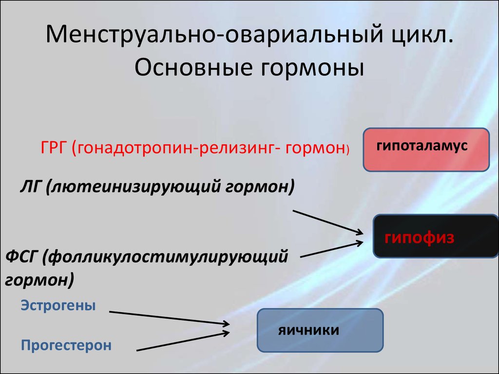 Главный цикл