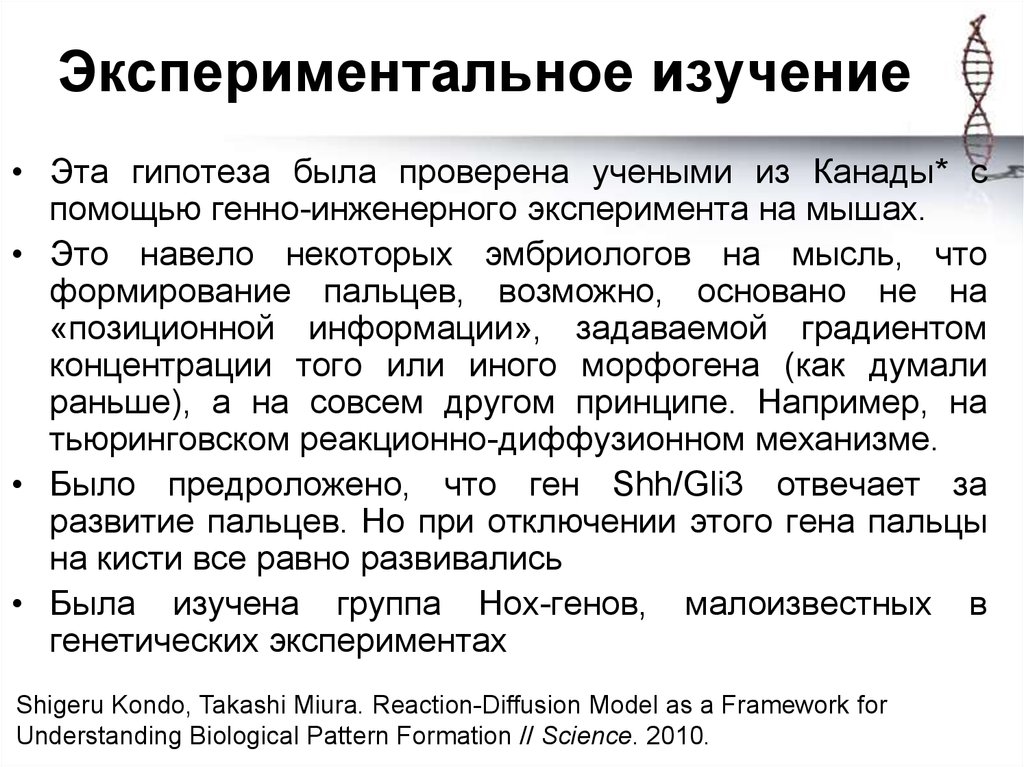 Изучение это. Этапы генно инженерного эксперимента. Протокол экспериментального исследования. Гипотеза позиционной информации. Экспериментальное изучение.