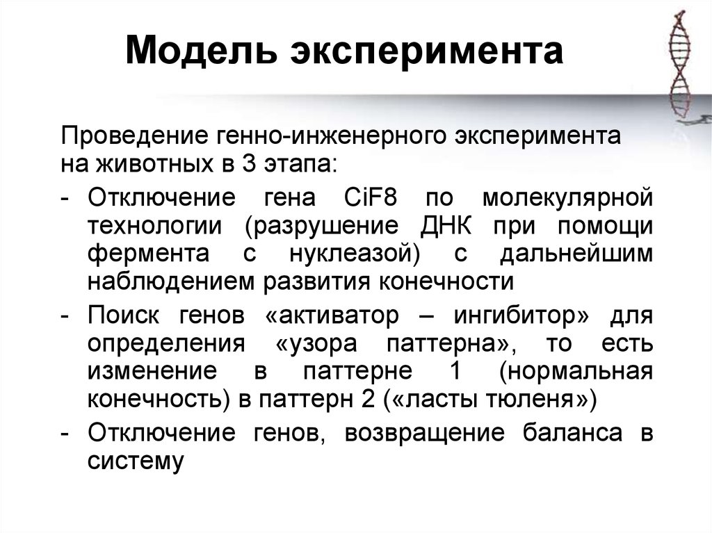 Проведение эксперимента. Модель эксперимента. Модель эксперимента пример. Виды моделей эксперимента. Модели эксперимента в исследовании.