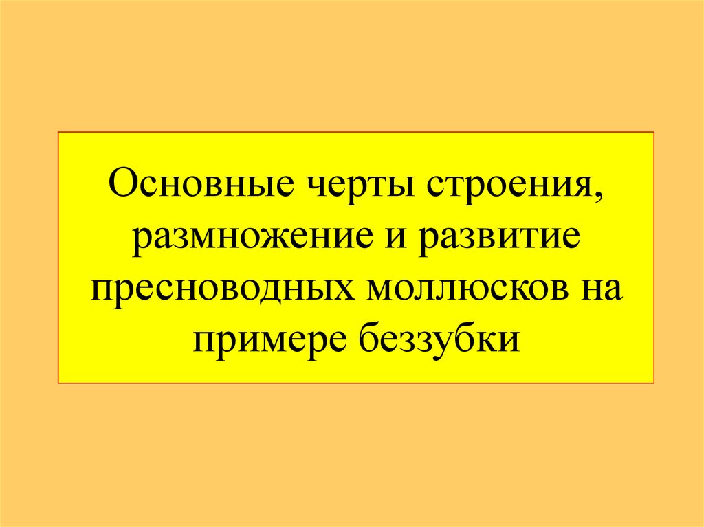 Прогрессивные черты строения. Прогрессивные черты молллюсков. Основные прогрессивные черты строения.