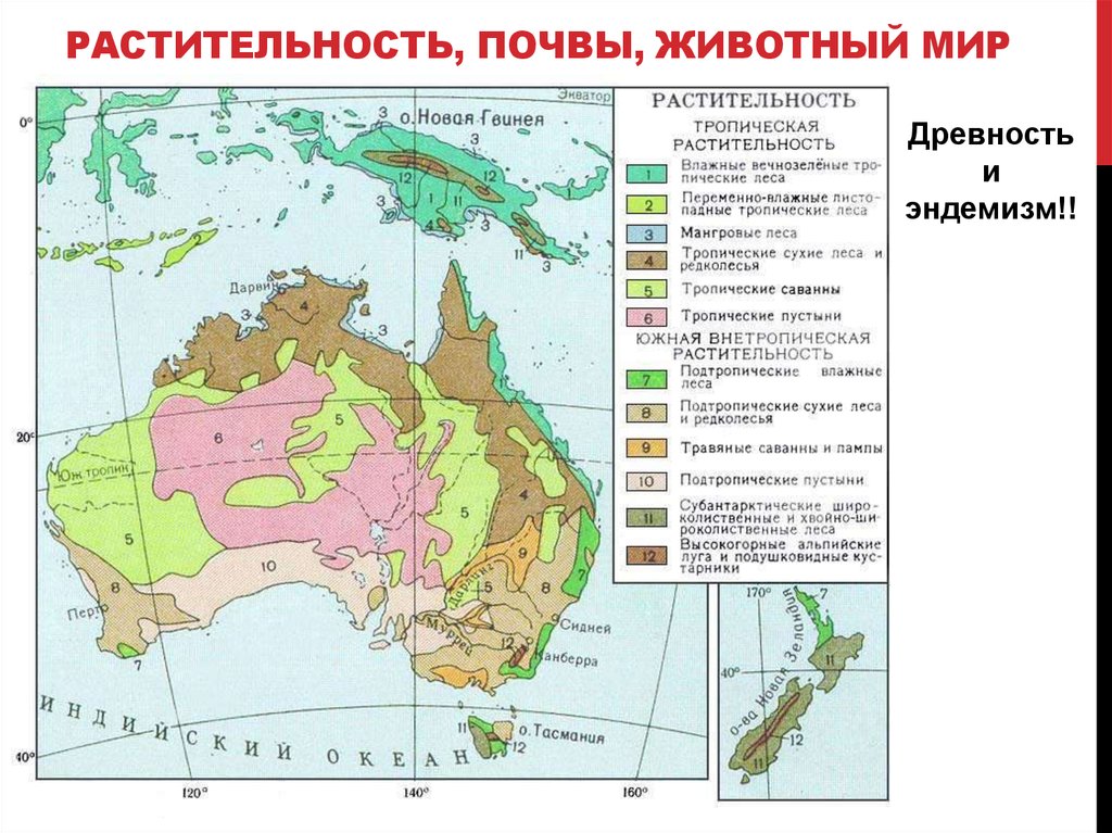 Природные зоны австралии и их основные особенности. Типы почв Австралии на карте. Карта растительности Австралии. Почвенная карта Австралии. Почвенные ресурсы Австралии карта.