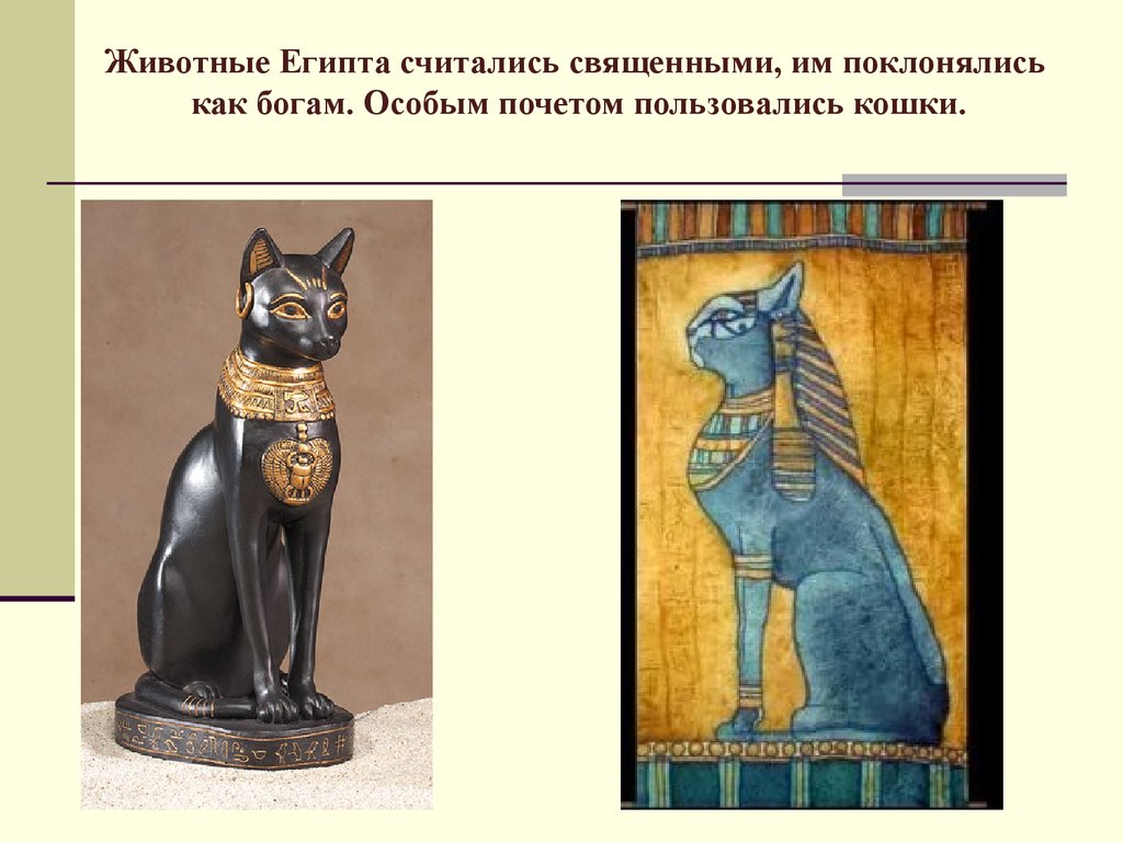 В египте поклонялись кошкам. Священные животные древнего Египта. Священное животное древнего Египта Египта. Священные животные древнего Египта кошка. Поклонение кошкам в древнем Египте.