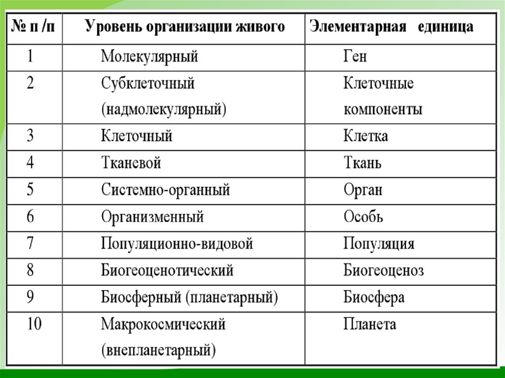 Уровни организации жизни 7 класс презентация