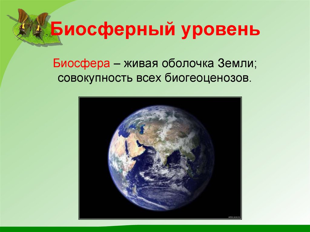 Биосферный уровень общая характеристика. Биосфера уровень организации жизни. Биосферный уровень организации живого. Биосферный уровень организации живой материи. Биосферный уровень жизни.