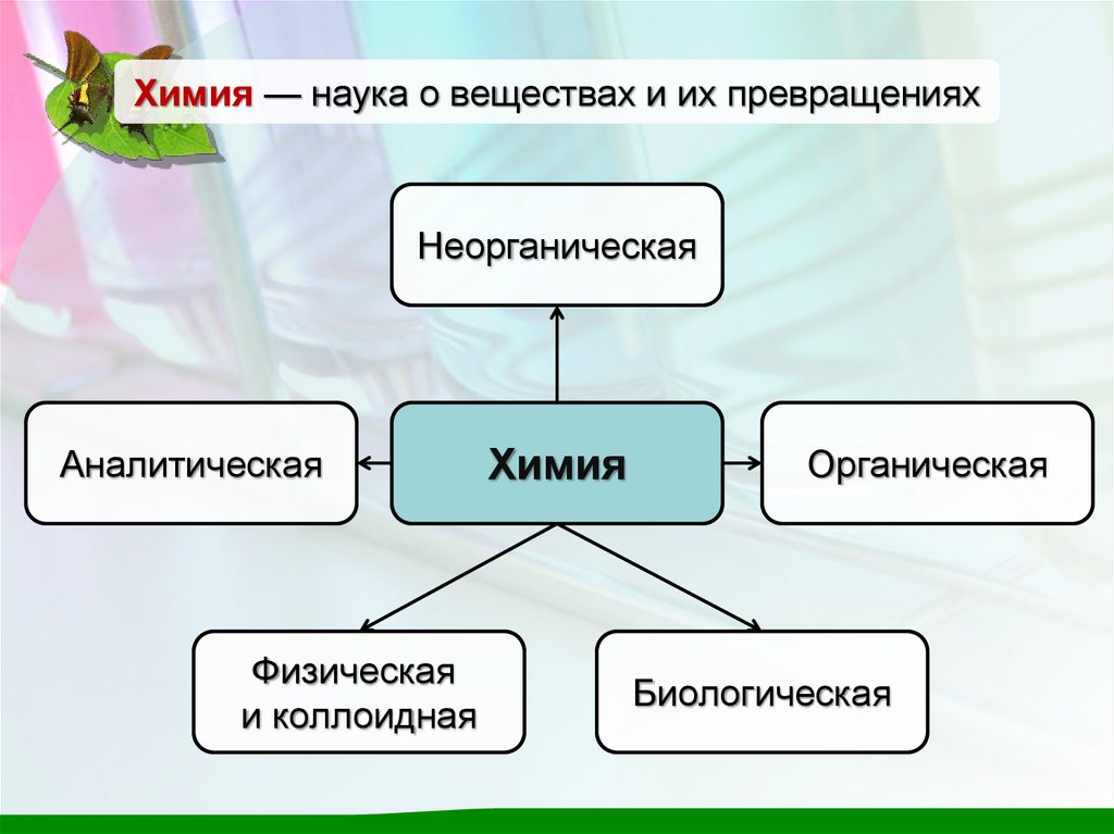 Представление о веществе. Общие представления о жизни. Физическая органическая. Общие е представления о жизни. Превращение неорганических веществ.