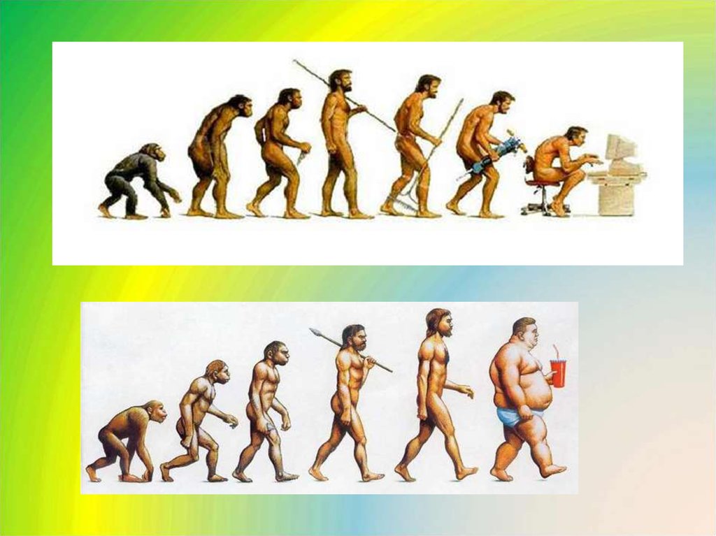 Эволюция видна. Эволюция человека. Этапы развития человека. Этапы эволюции человека. Цепь развития человека.