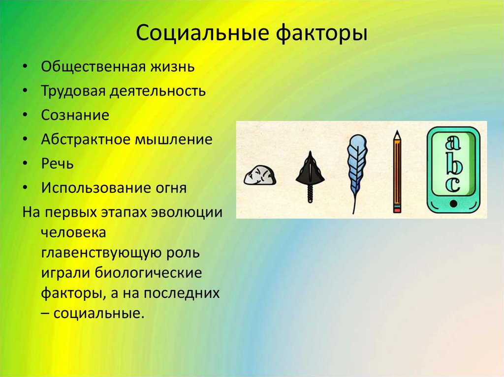 Факторы общественной жизни. Факторы общественной жизни примеры. Факторы социальной жизни. Общественные факторы.