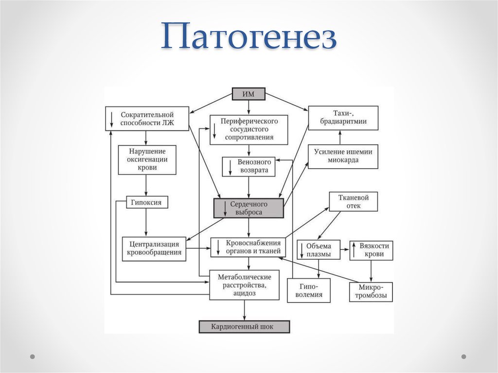 Патогенез. Кардиогенный ШОК патогенез схема. Истинный кардиогенный ШОК патогенез. Механизм развития кардиогенного шока. Кардиальный ШОК патогенез.