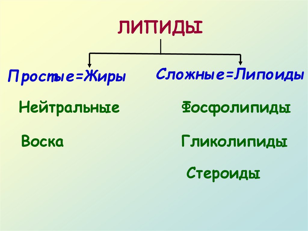 Простые жиры. Простые липиды жиры. Липиды простые сложные и липоиды. Липиды жиры и липоиды. Липиды жиры стероиды фосфолипиды.