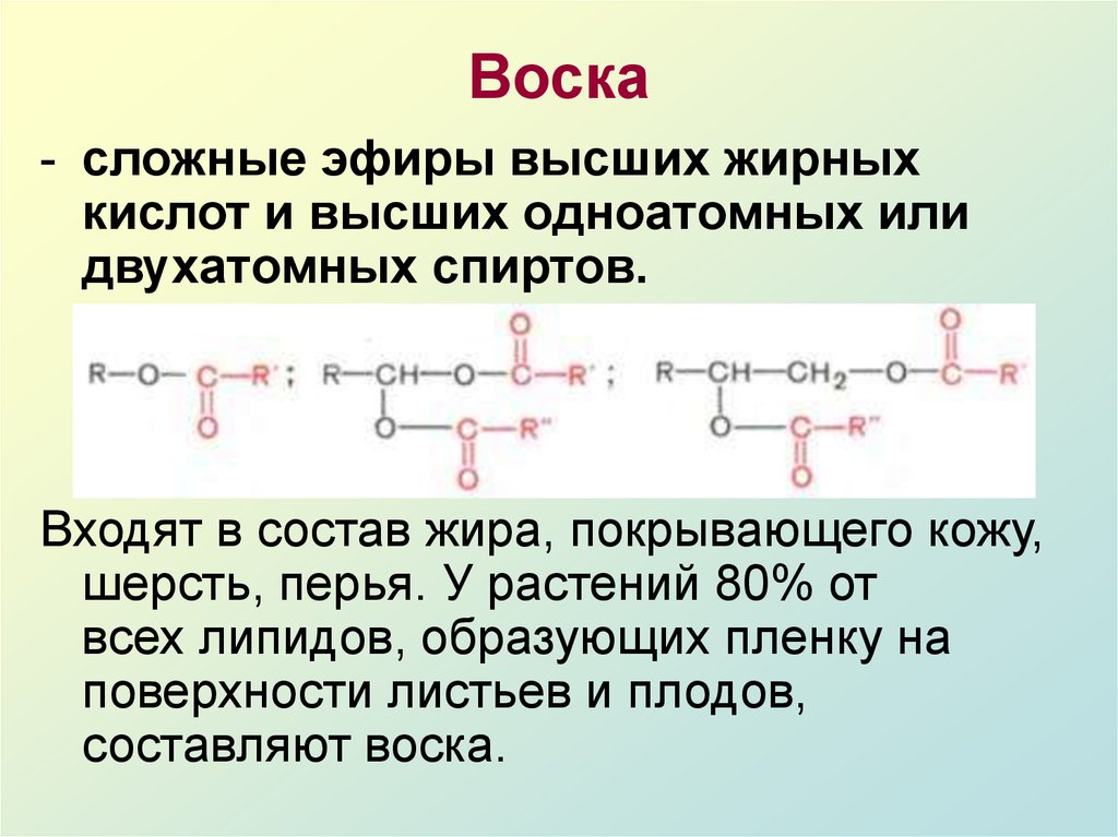 Липиды воска. Воски это сложные эфиры. Сложные эфиры жирных кислот. Строение двухатомных спиртов. Воски (сложные эфиры высших спиртов и жирных кислот);.