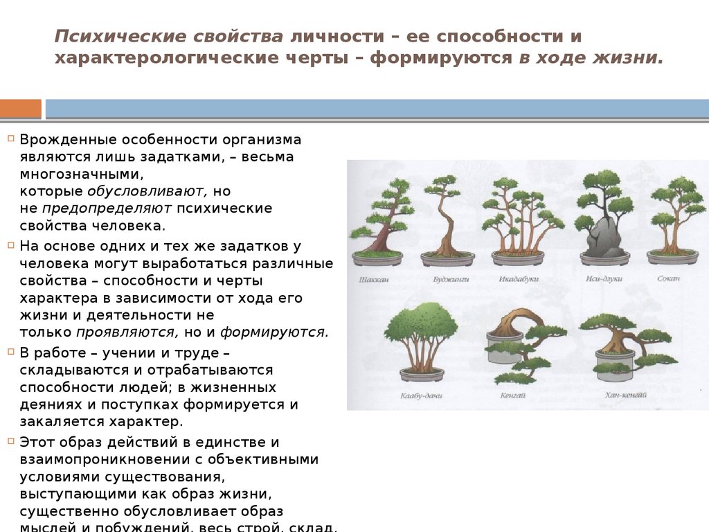 Совокупность качеств личности соответствующая объективным условиям