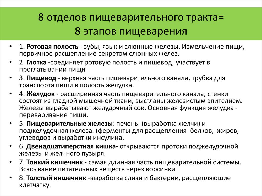 Пищеварительная система характеристика кратко. Отделы пищеварительного тракта. Пищеварение в разных отделах пищеварительного тракта. Основные этапы процесса пищеварения. Этапы пищеварения таблица.