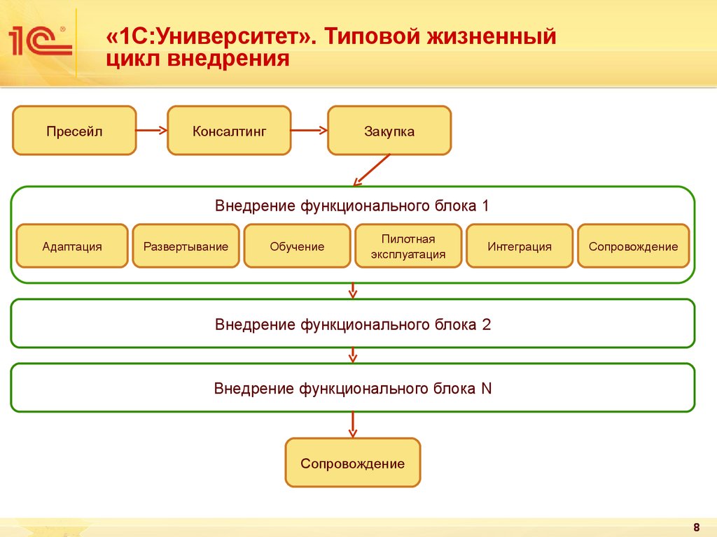 Presale проект это