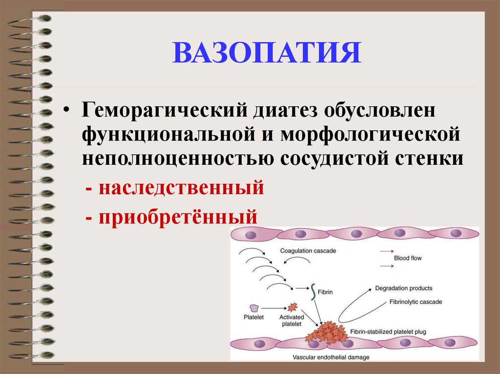 Патофизиология гемостаза. Вазопатия. Вазопатия патофизиология. Патогенетические факторы вазопатий. Вазопатии презентация.