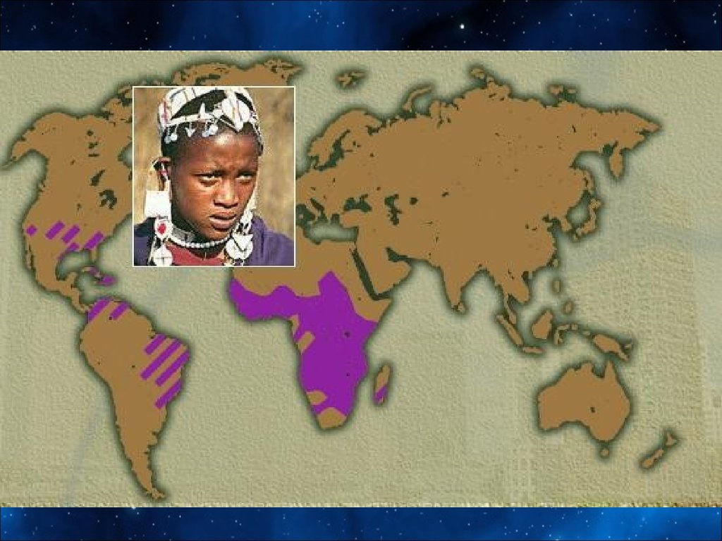 Негроидная раса проживает. Расселение негроидной расы. Карта расселения негроидной расы. Негроидная раса территория. Распространение негроидной расы на планете.