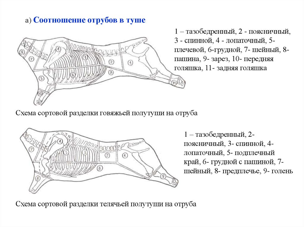 Схема разделки говяжьей туши. Схема разделки туш и полутуш на отруба. Схема разделки свинины на отрубы. Схема разрубки туши на отруба.