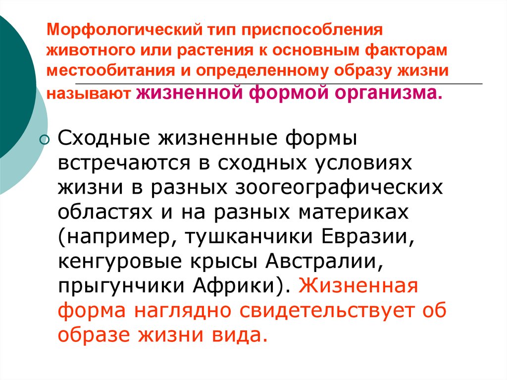 20 морфологических слов. Морфологический Тип приспособления. Тип приспособления. Приспособительные формы организмов экология презентация 10 класс. Морфологический вид.