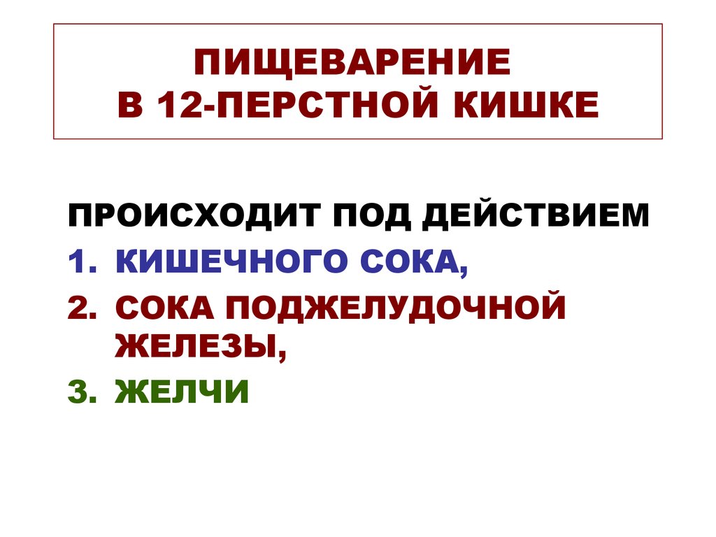 Пищеварение в желудке и двенадцатиперстной кишке действие ферментов 8 класс презентация