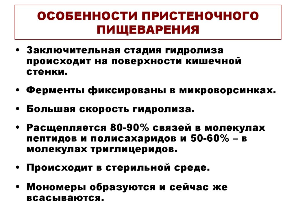 Полостное пищеварение