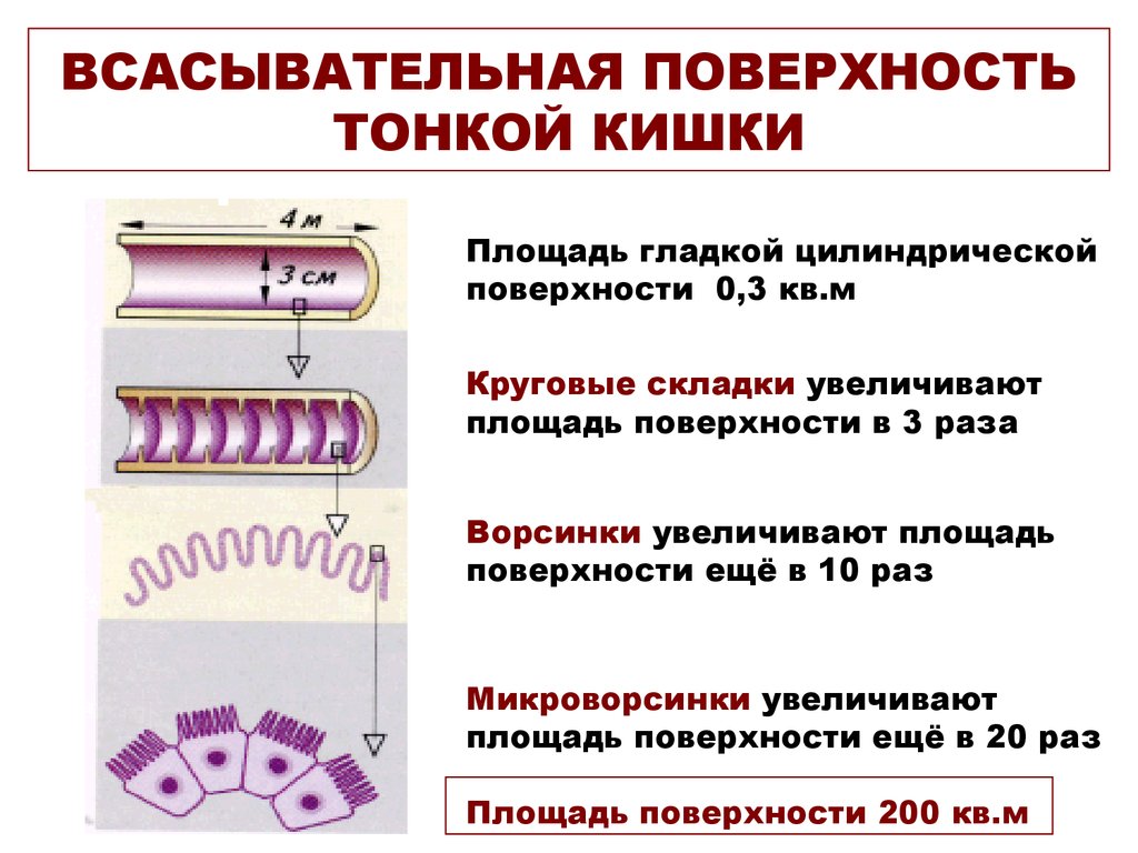 Гладкие цилиндрические поверхности