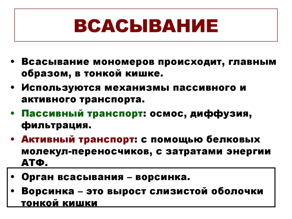 Главным образом за счет. Механизмы всасывания в тонкой кишке. Механизм всасывания в тонком кишечнике. Всасваре втонком кишечнике. Всасывание в тонком кишечнике.