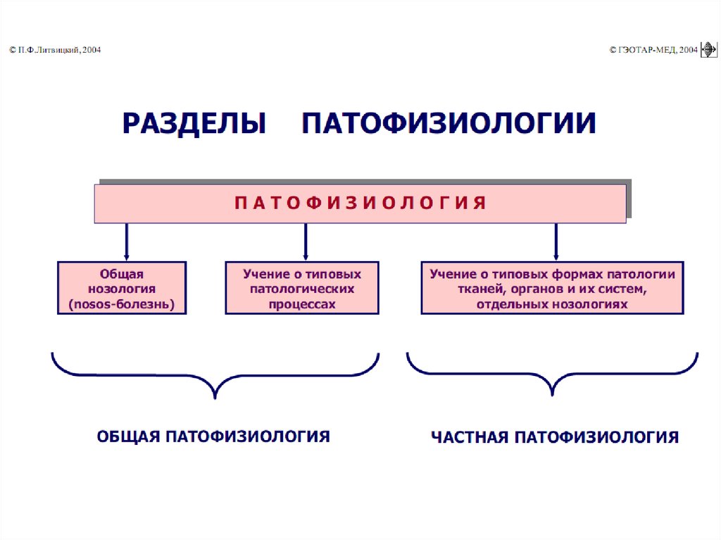 Презентация познавательные процессы биология