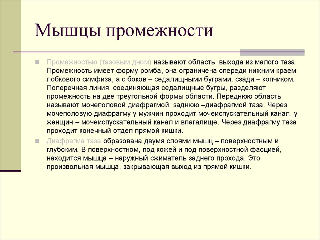 Сколько отверстий у женщин. Строение промежности у женщин. Мышцы промежностные. Мышцы промежности мужчин схема. Мужская промежность схема.