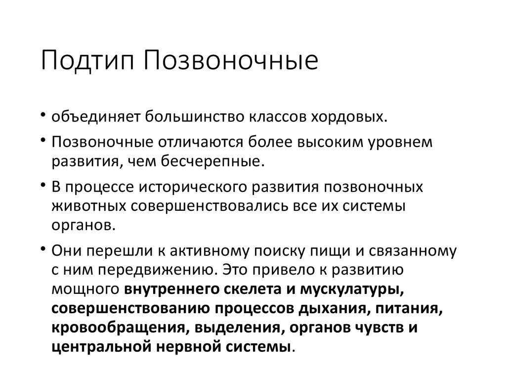 Подтип позвоночные картинки