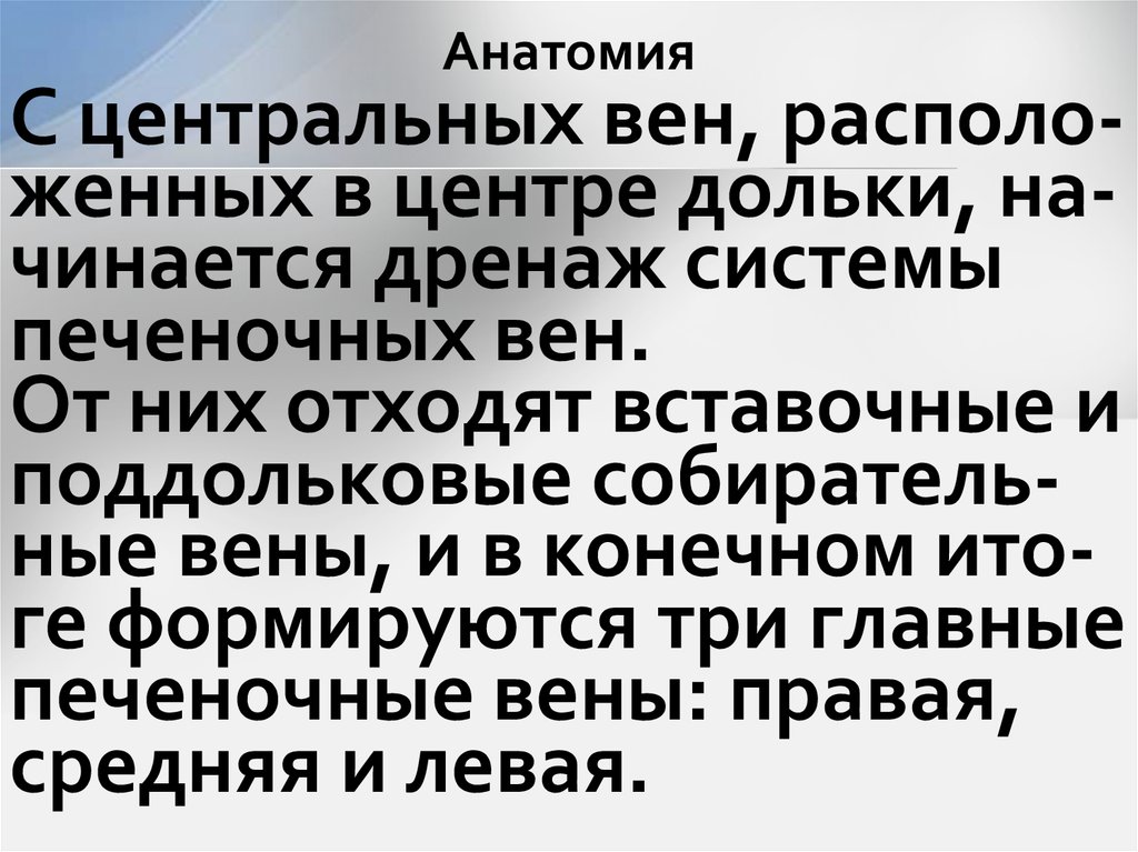 Анатомия