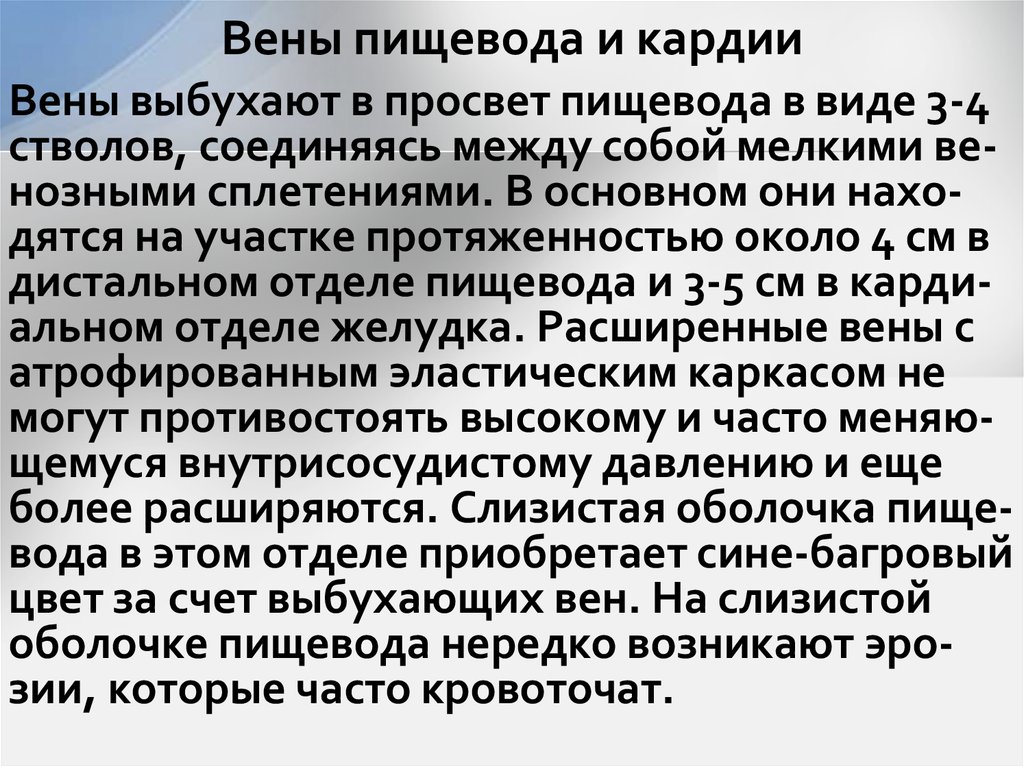 Вены пищевода и кардии