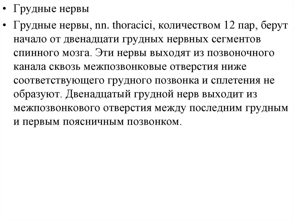 Грудные нервы. 12 Пар грудных нервов. 12 Грудной нерв. Первый грудной нерв.