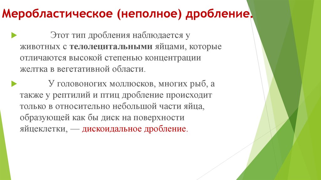 Неполное дробление. Меробластическое дробление. МЕРОБЛАСТИЧЕСКИЙ Тип дробления. Неполное меробластическое дробление наблюдается у. Неполное дискоидальное дробление.