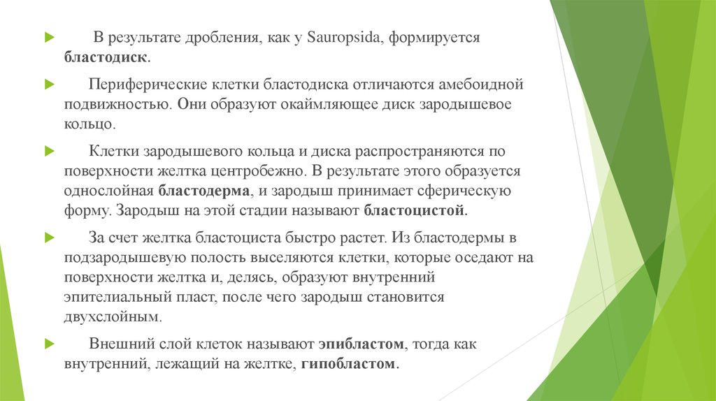 Результат дробления. Образуется в результате дробления. Дробление бизнеса презентация.