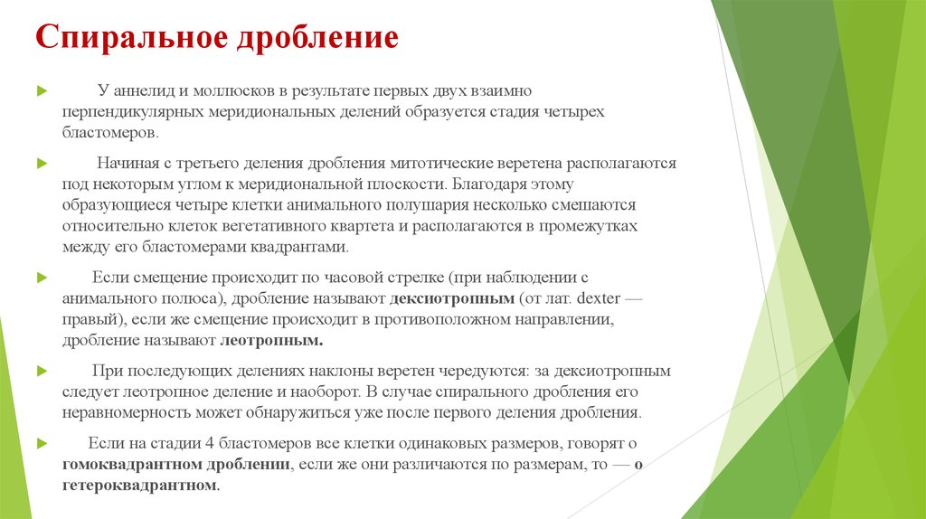 Признаки дробления. Спиральное дробление. Результаты первого дробления. Дробление бизнеса презентация. Спиральное дробление у моллюска.