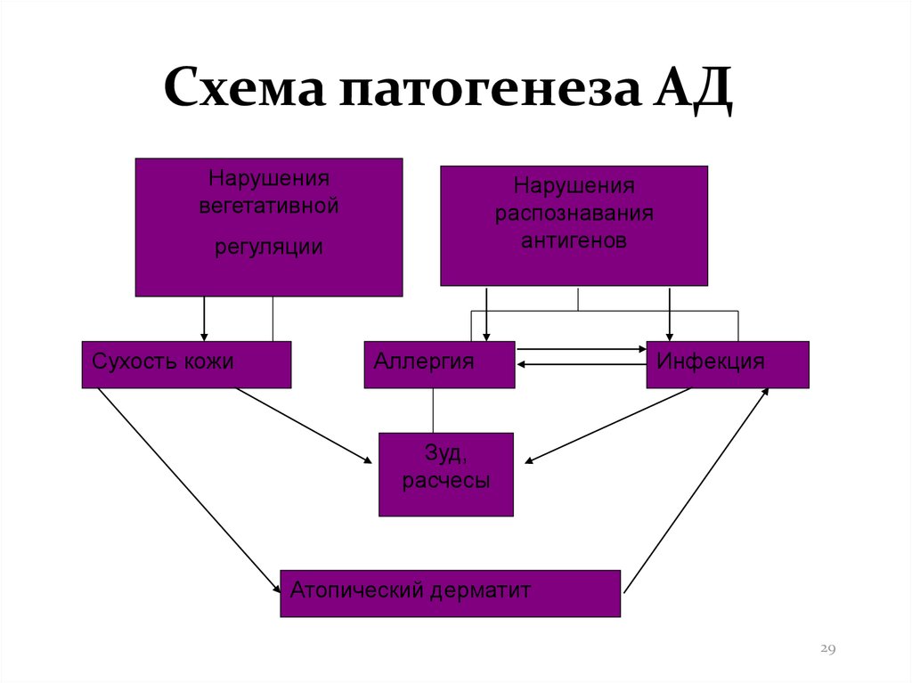 Схема патогенеза АД