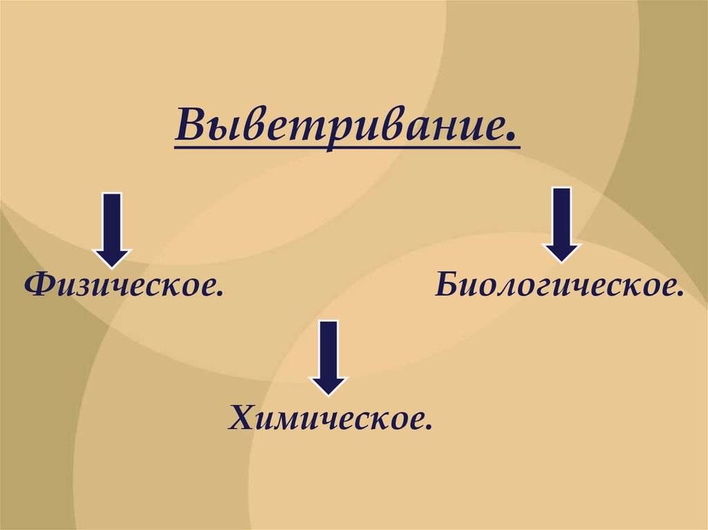 Выветривание физическое химическое биологическое. Внешние силы создающие рельеф. Рельеф земли. Рельеф Рима земля.