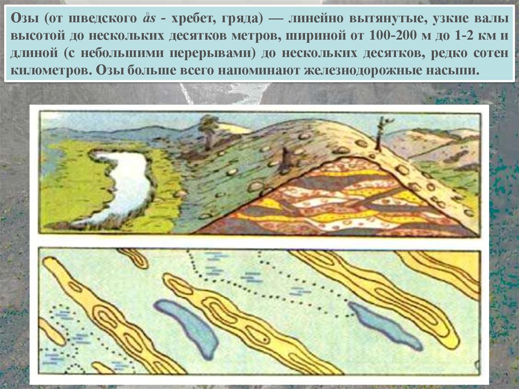 Озы это. Озы форма рельефа. Ледниковые формы рельефа озы. Озы это в географии. Гряды рельеф.