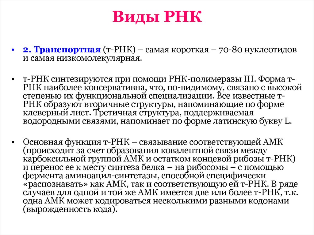 4 виды рнк. Форма РНК. Все виды РНК. Высокомолекулярные РНК. Типы РНК.