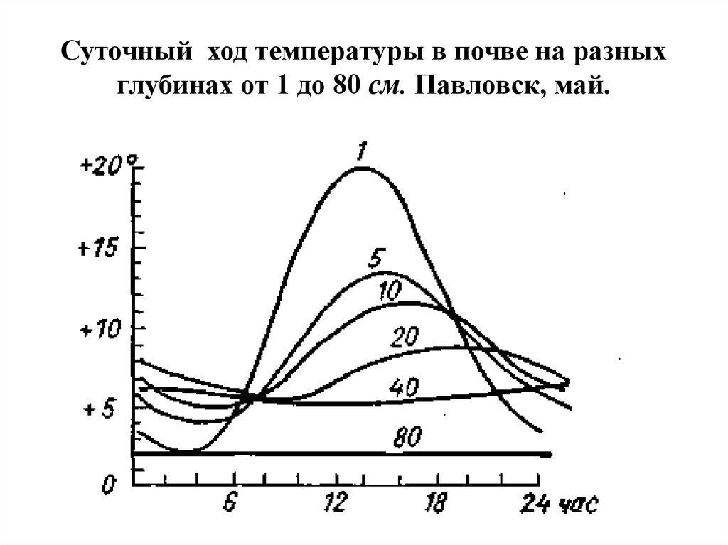 Суточный ход температуры в почве на разных глубинах от 1 до 80 см. Павловск, май.