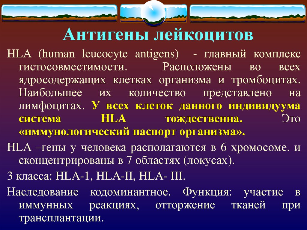 Антиген это. Система антигенов тромбоцитов. Антигены гистосовместимости HLA. Антигены лейкоцитов. Система антигенов лейкоцитов.