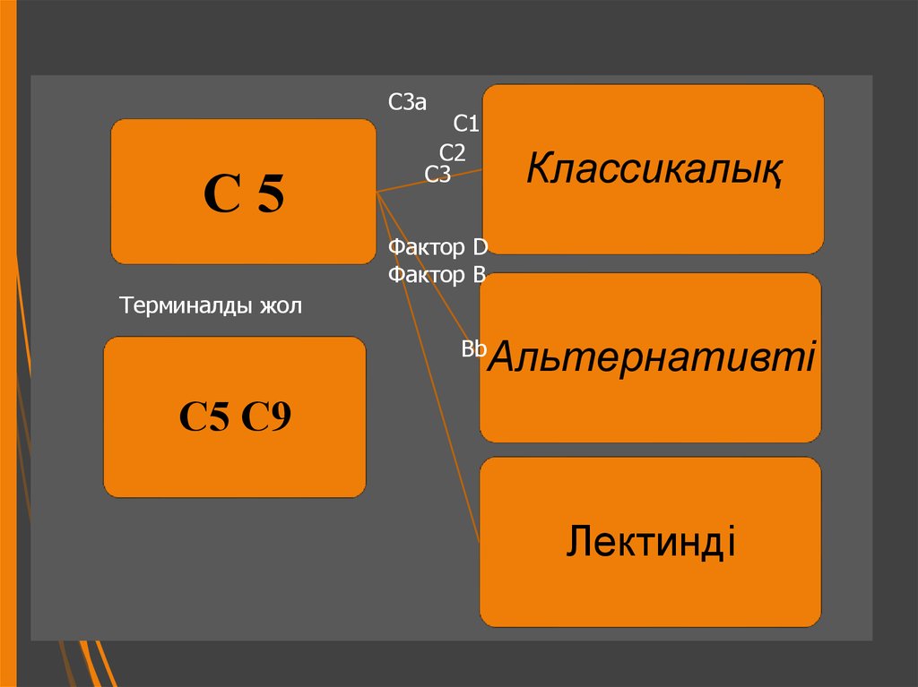 D фактор. D-Factor.