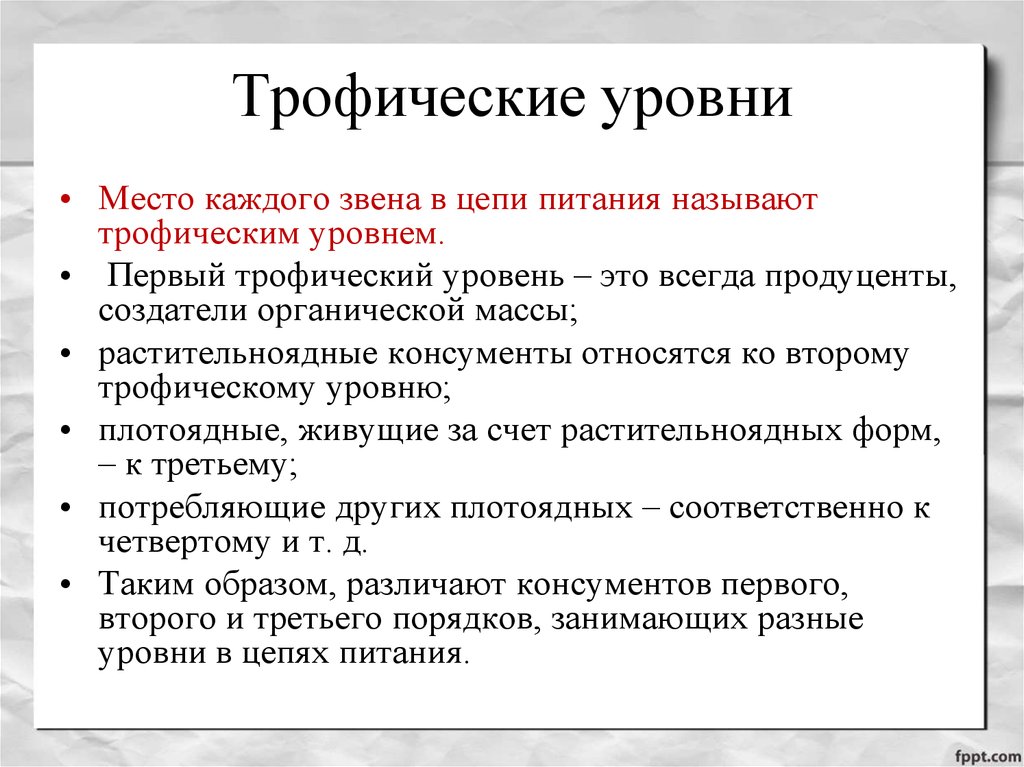 Первый трофический уровень в цепях питания