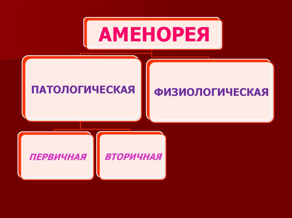 Аменорея яичниковая презентация