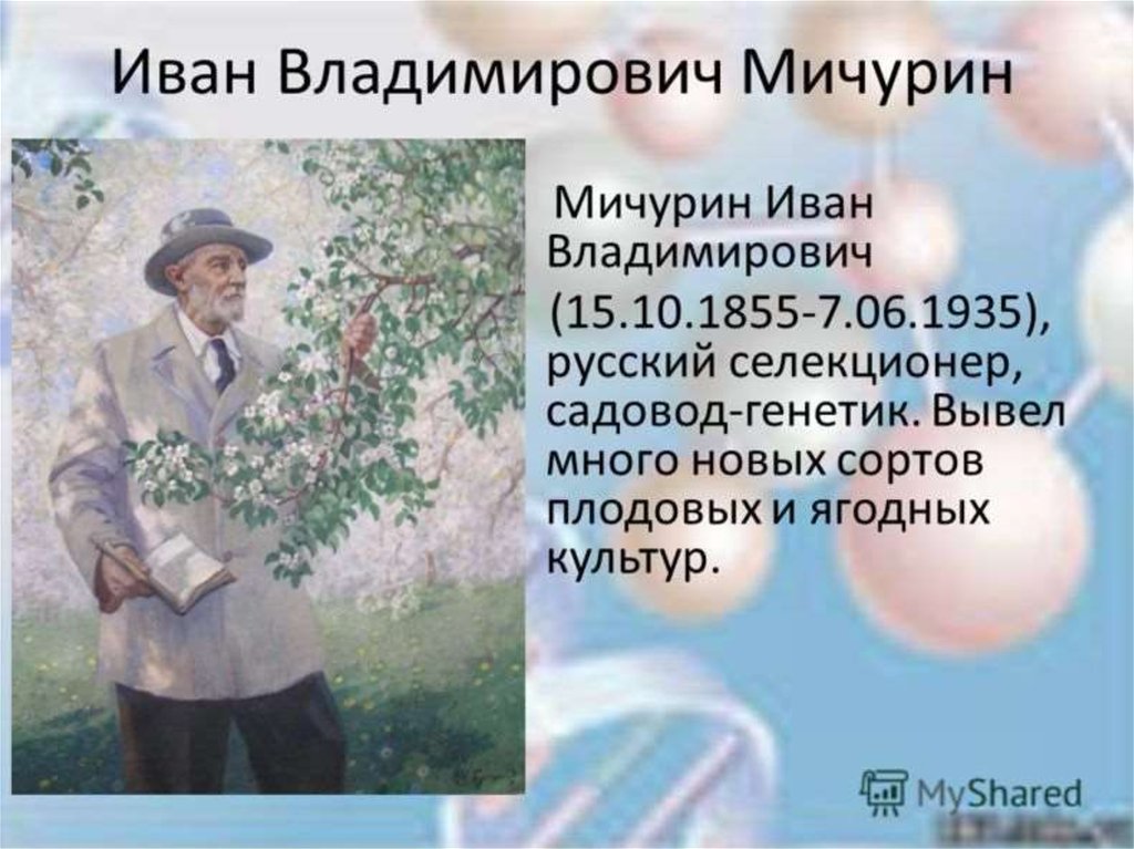 Мичурин токио. Иван Мичурин. Мичурин Иван Владимирович презентация. Иван Владимирович Мичурин 5 класс. Мичурин Иван Владимирович биография.