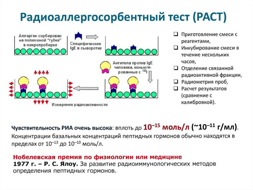 Радиоиммунный анализ схема