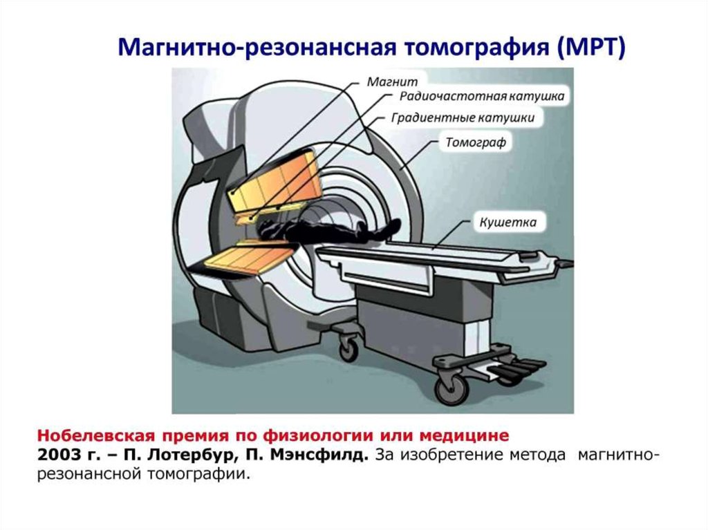 Метод магнитной томографии