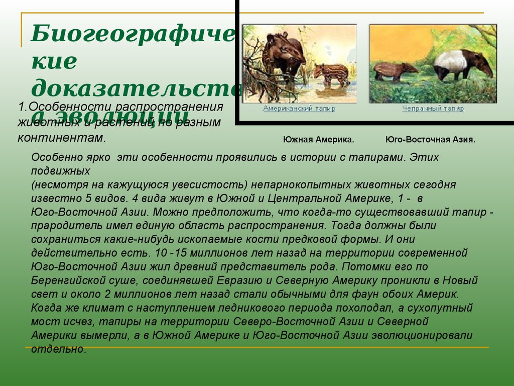 Презентация по биологии 7 класс доказательства эволюции животного мира учение ч дарвина