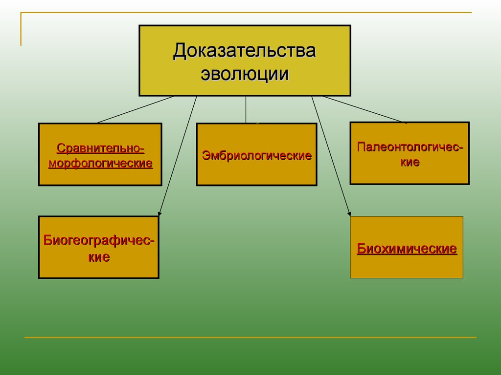 Доказательства эволюции картинки