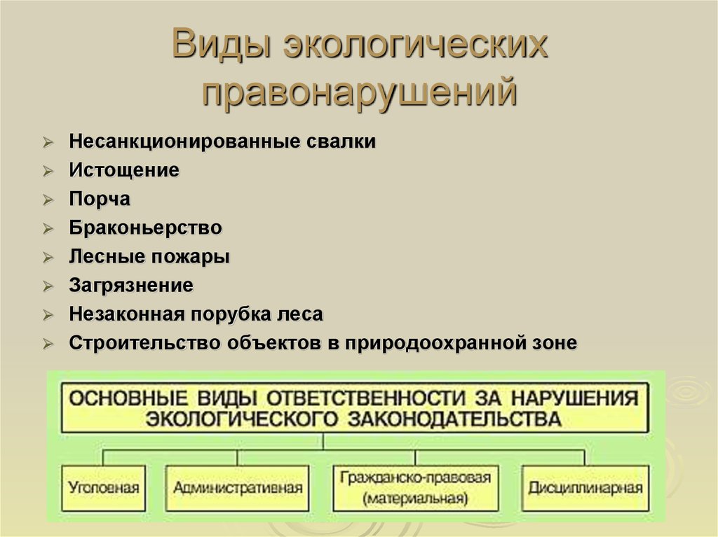 Экологические правонарушения. Виды экологических преступлений. Понятие и виды экологических правонарушений. Виды экологических прав.