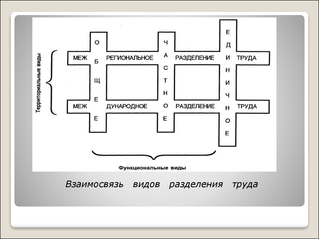 Разделение. Взаимосвязь видов разделения труда. Региональное Разделение труда. 5 Видов разделения труда. Разделения труда сходить схема.